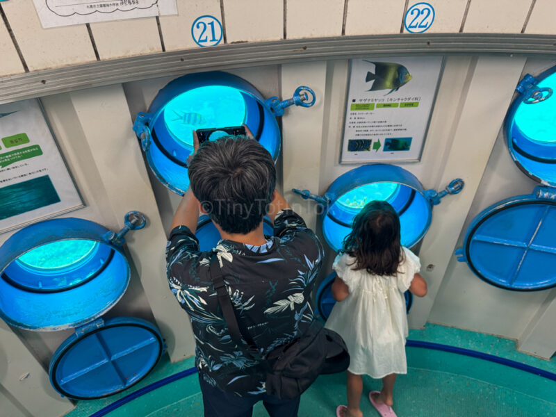 a parent and child looking at fish through windows at Busena Marine Park Underwater Observatory