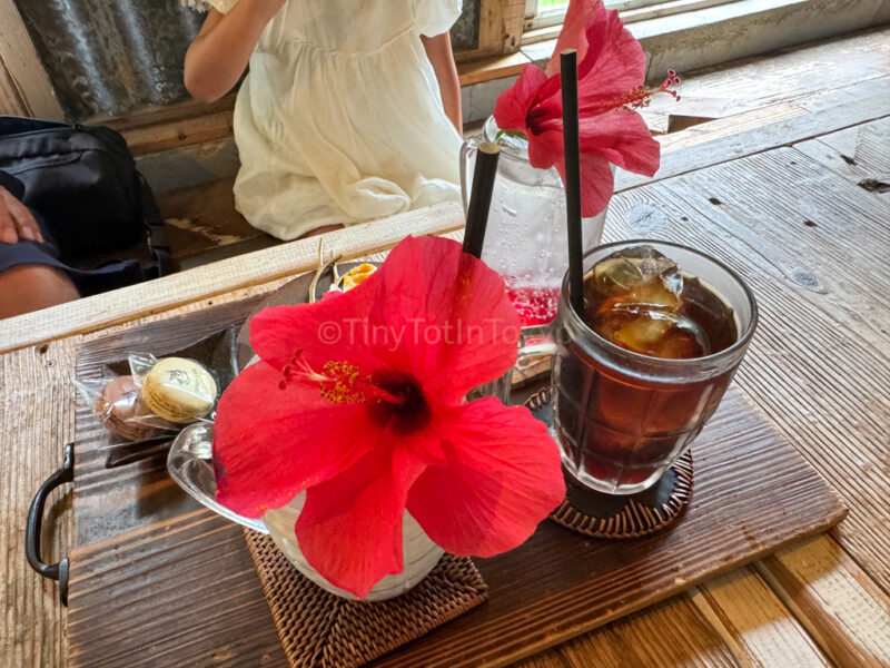 Hibiscus soda and milk from ringo cafe in okinawa