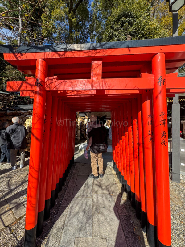 vermillion torii gates at kitano tenmangu shrine