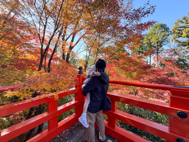 a man holding a child at kitano tenmangu shrine