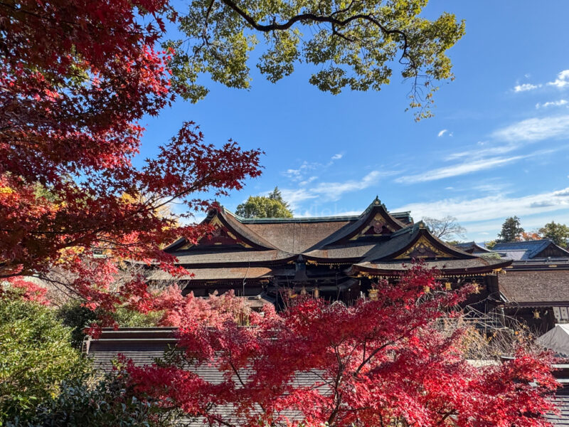 maple leaves framing kitano tenmangu