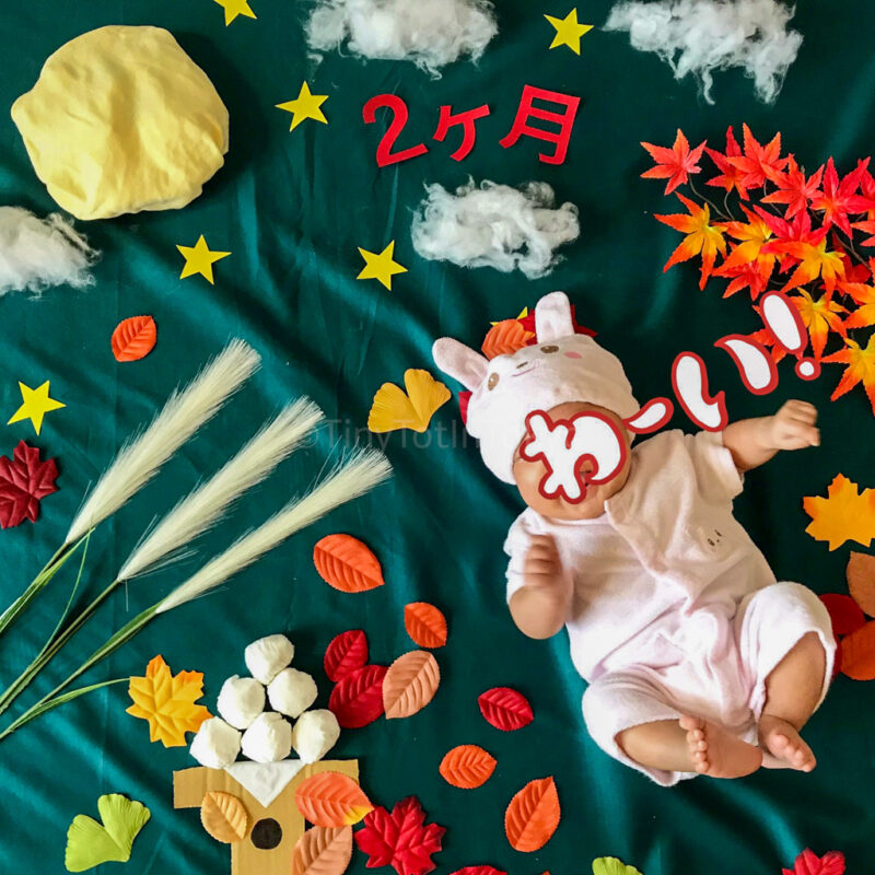 Japan themed milestone photo September Tsukimi