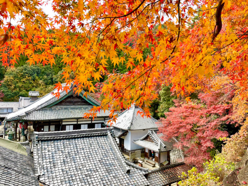 Youkoku-ji Temple in autumn