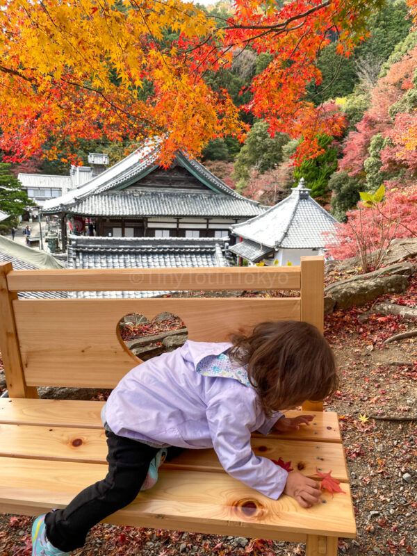 a child at Youkoku-ji Temple in kyoto in autumn