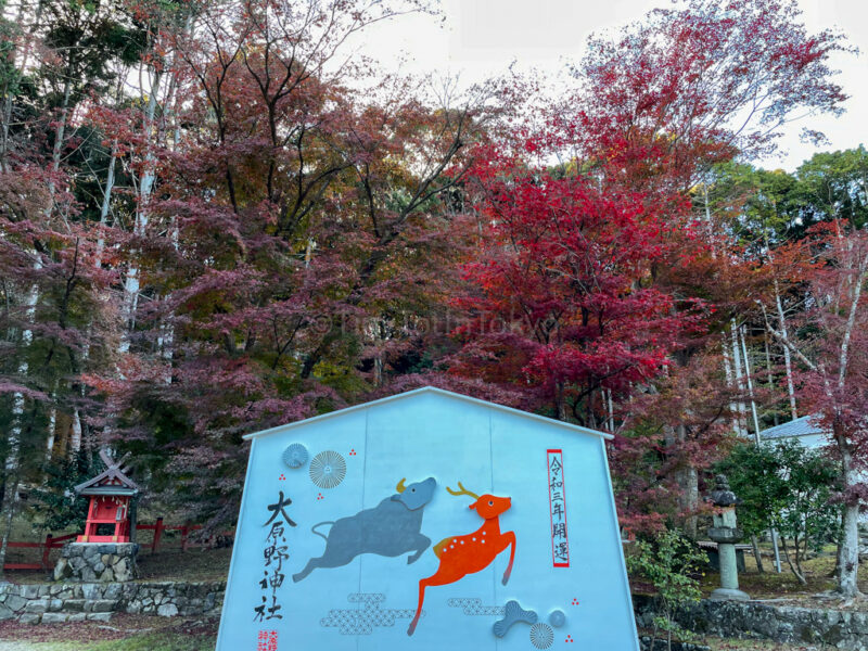 Oharano shrine in kyoto in autumn 