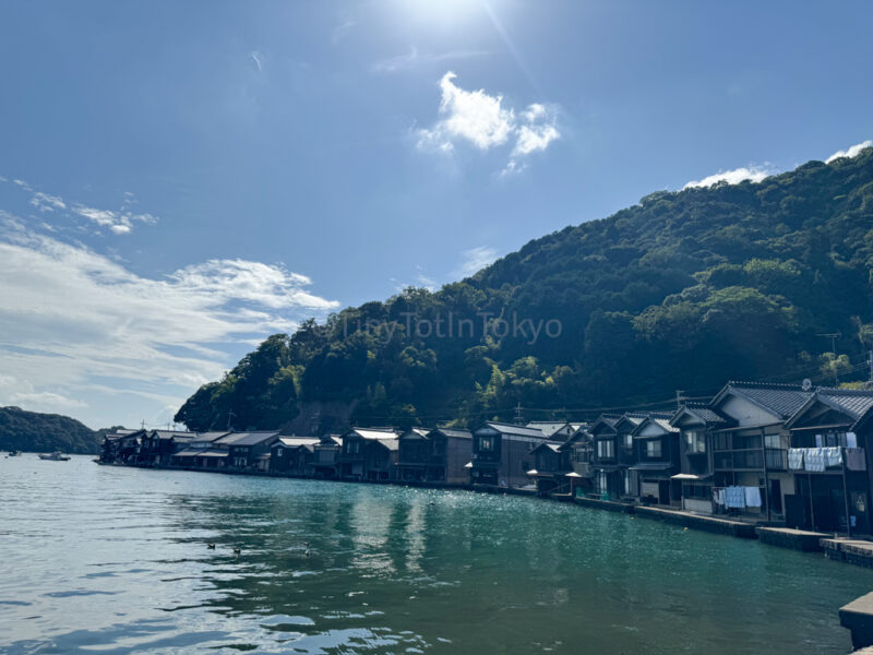 ineura park in ine