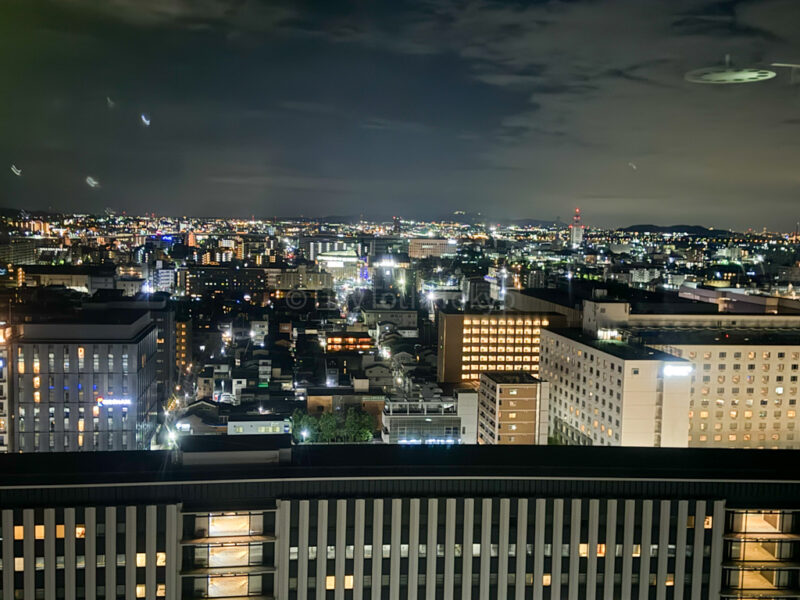 View from Sky Garden in Kyoto
