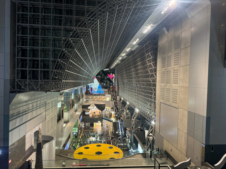 View from Kyoto Station with Kids