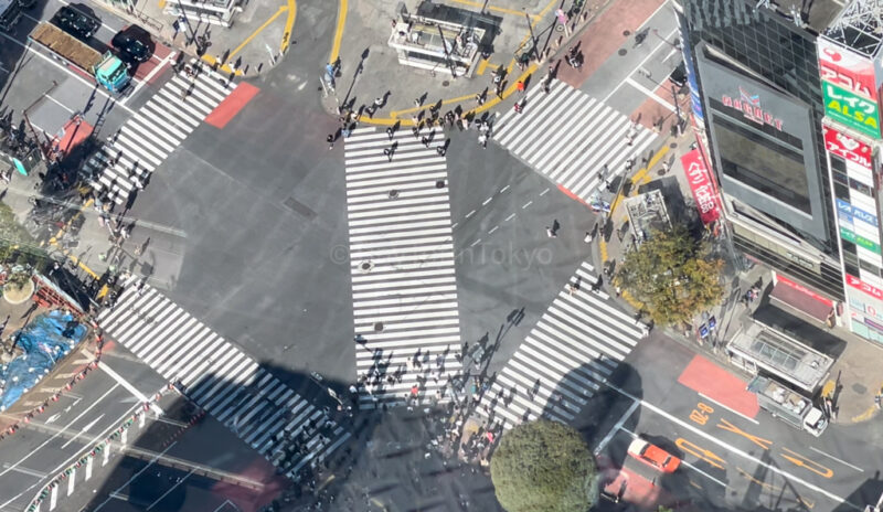 aerial view of shibuya crossing from shibuya sky