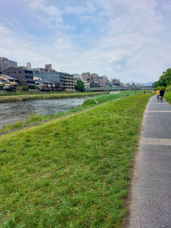 Kamo river in Kyoto