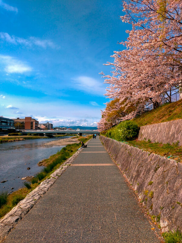 Kamogawa River in Kyoto