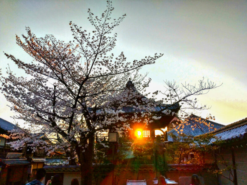 Yasaka Shrine in the Evening