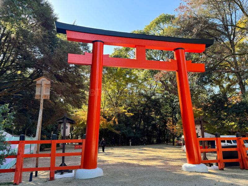 Shimogamo Shrine torii gate