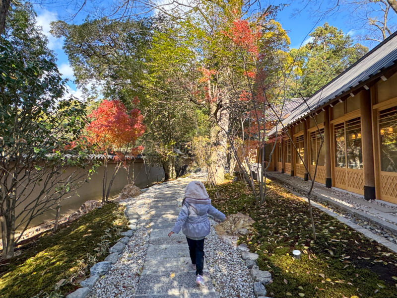 a child at Shimogamo Shrine in autumn