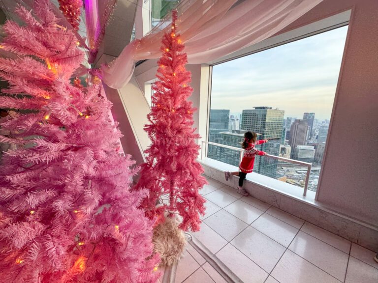 A child in Sky Building Observatory in winter looking at Christmas Trees