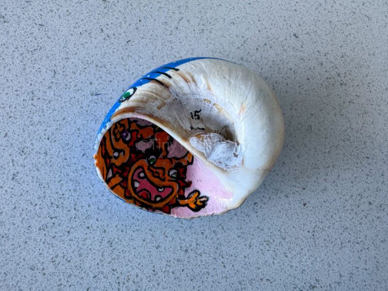 Shisha seashell souvenir from Okinawa