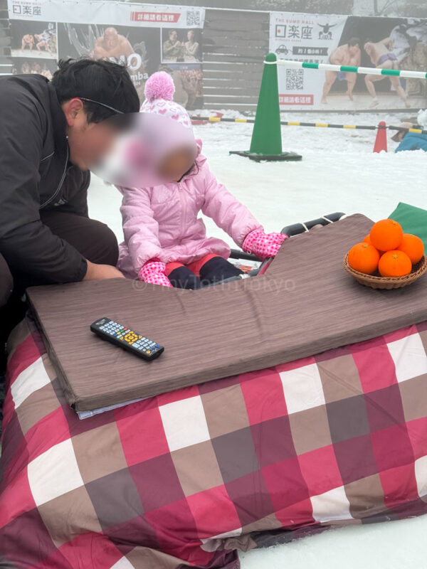 kotatsu sled at rokko
