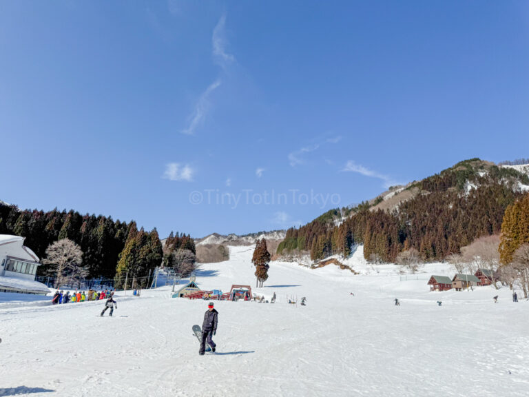 A ski resort in Japan with a man wearing winter sports gear