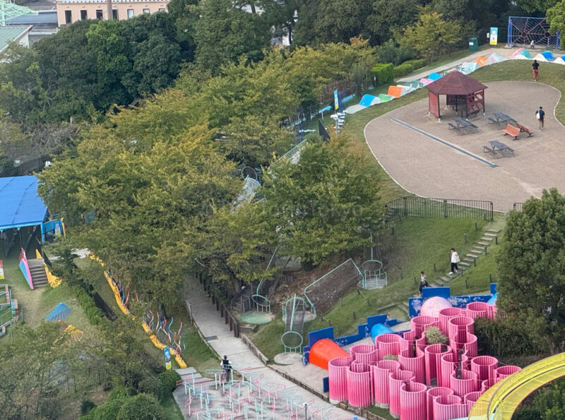 Athletic "try-it" at Hirakata Park
