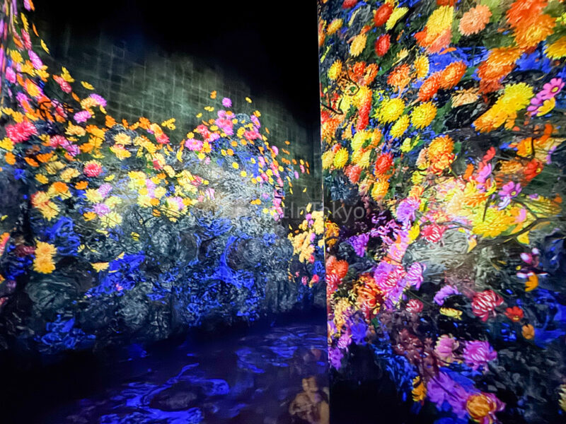 Flowers and People at teamLab Kyoto