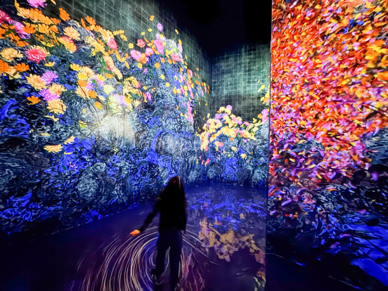 a child walking through Flowers and People at teamlab kyoto
