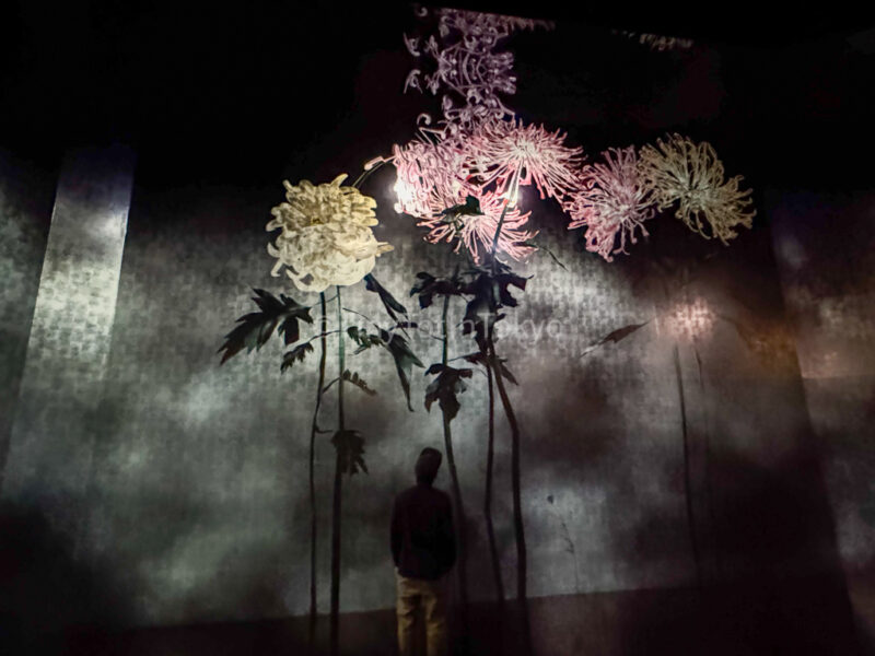 Silent Radiance Within / Memory of Waves in the Sky at teamLab kyoto