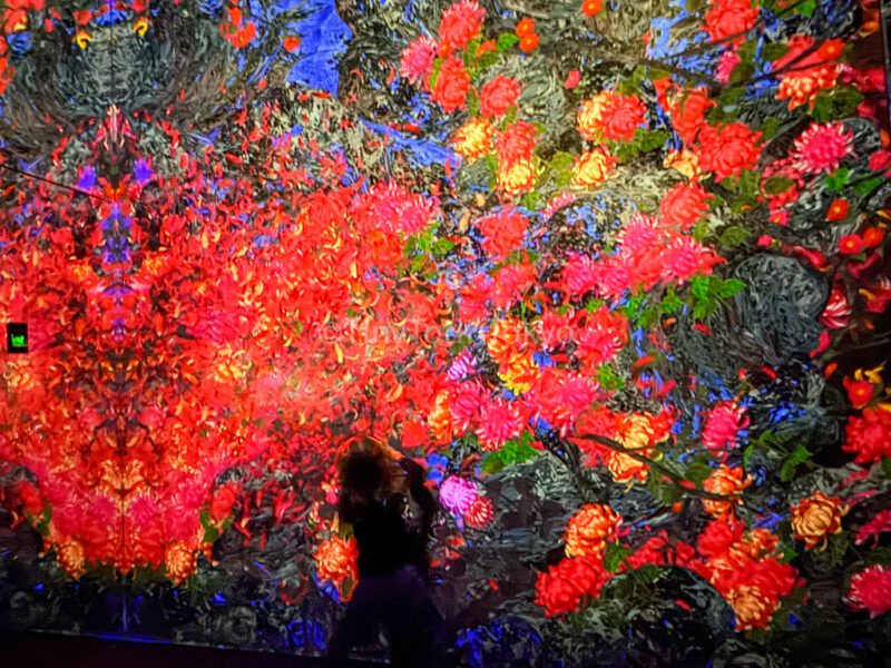 a child at teamlab kyoto looking at Continuous Life and Death at the Now of Eternity