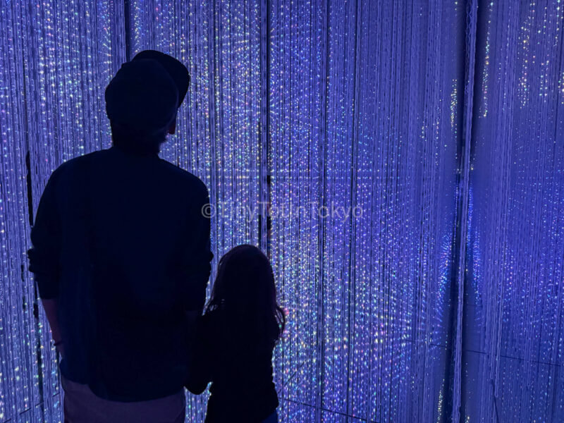 Infinite Crystal World at teamLab Kyoto