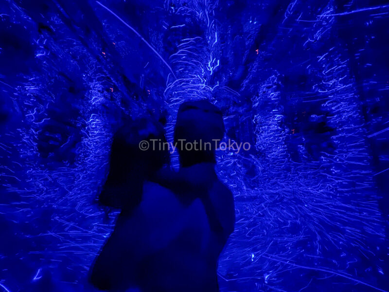 Morphing Continuum at teamLab Kyoto