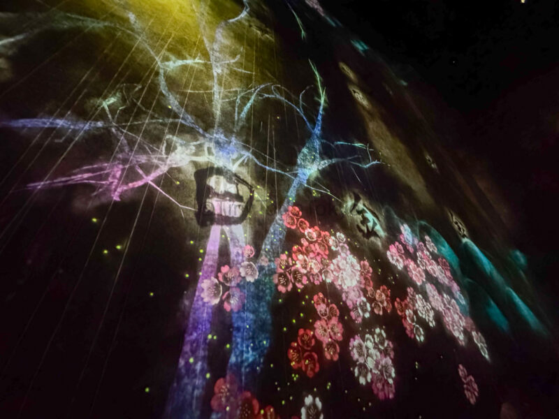 What a Loving and Beautiful World at teamlab kyoto