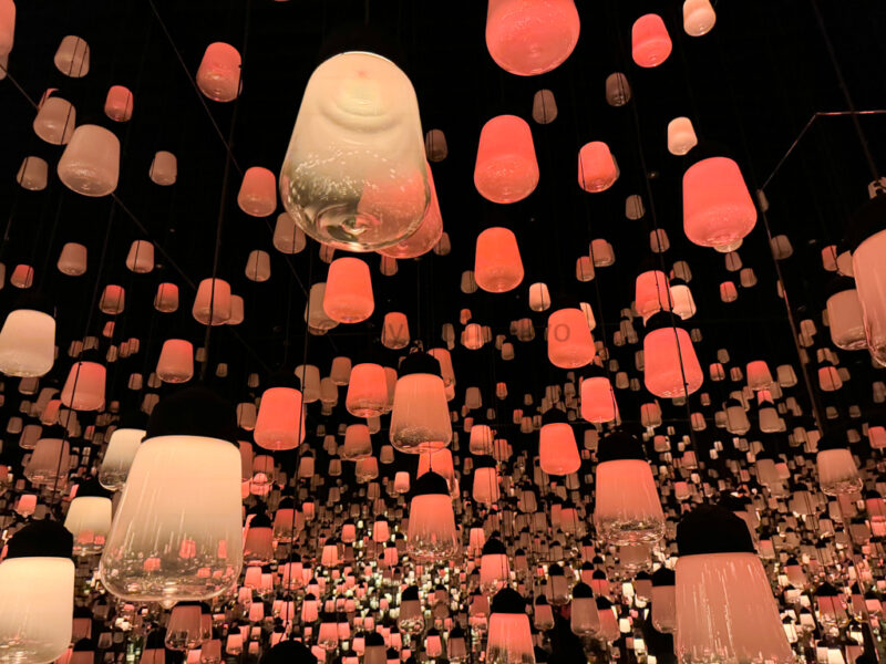 Forest of Resonating Lamps at teamLab Kyoto