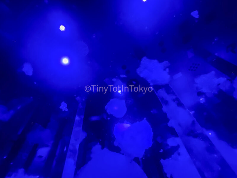 Massless Amorphous Sculpture at teamLab Kyoto