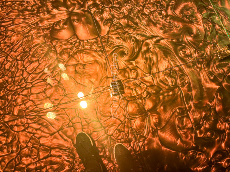 Transient Abstract Life and Return at teamLab Kyoto