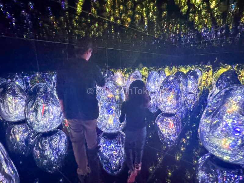 Resonating Microcosms at teamlab Kyoto