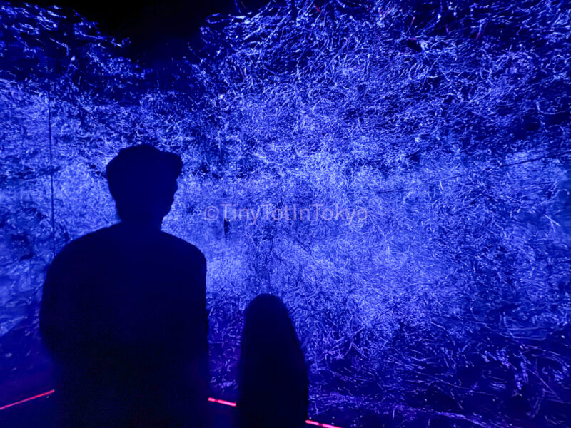 Strata of Traces at teamLab Kyoto