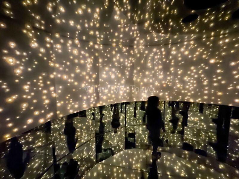 Massless Suns and Dark Suns at teamLab Kyoto