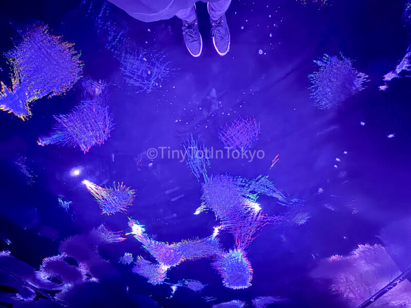 Living Crystallized Light at teamLab Kyoto