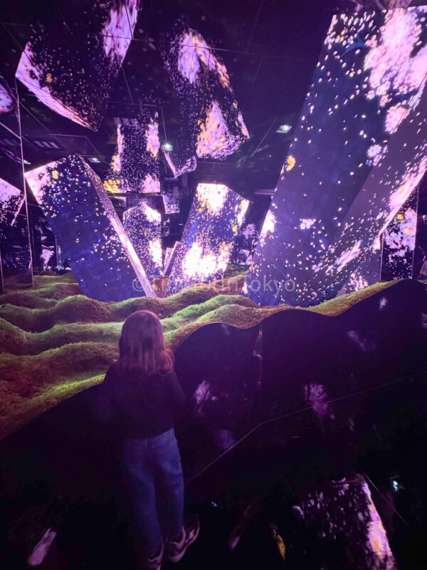 a child at Megaliths in the Eternal Existence of the Open Universe at teamlab kyoto