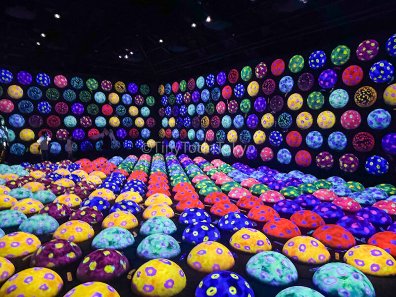 Rapidly Rotating Boucing Spheres in the Caterpillar House at teamLab Kyoto