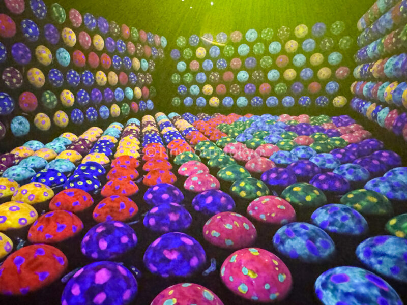 Rapidly Rotating Bouncing Spheres in the Catepillar House at teamlab Kyoto