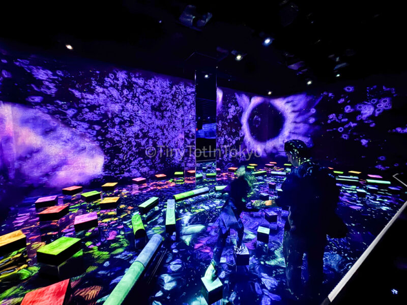 A child and their parent at Balance Stepping Stones in the Invisible World in teamlab Kyoto