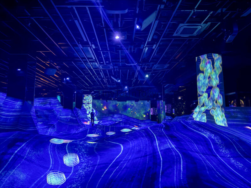 Graffiti Nature and Beating Earth at teamlab Kyoto