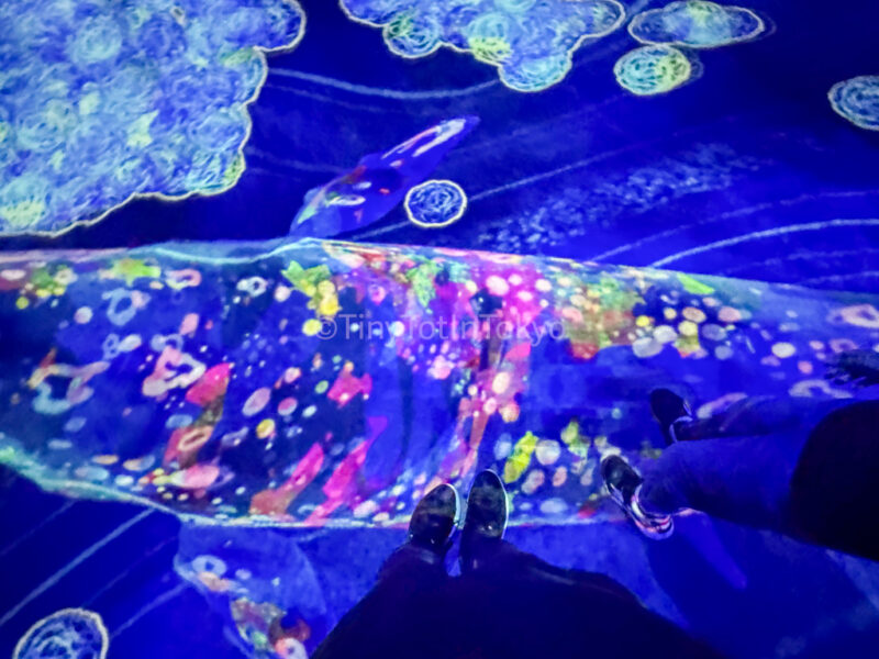 whale at teamLab Kyoto
