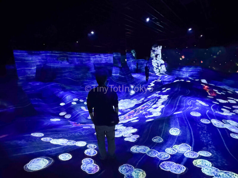 Graffiti Nature and Beating Earth at teamLab Kyoto