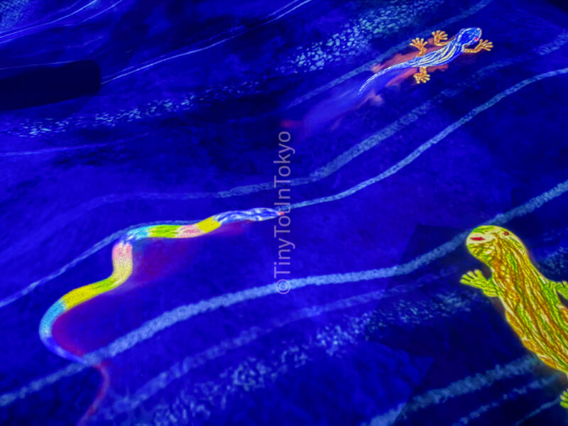 reptiles at teamlab kyoto