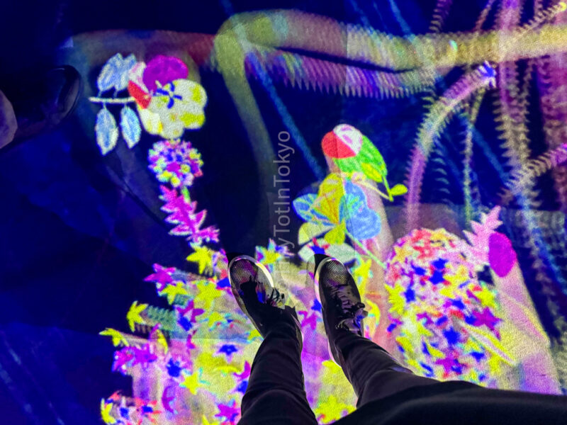 flowers under feet at teamlab kyoto