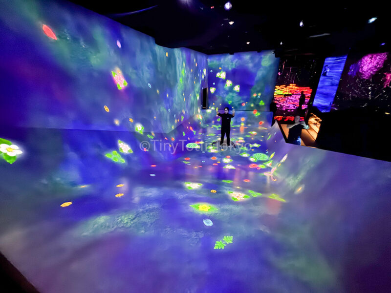 Sliding through the Fruit Field at Kyoto teamLab
