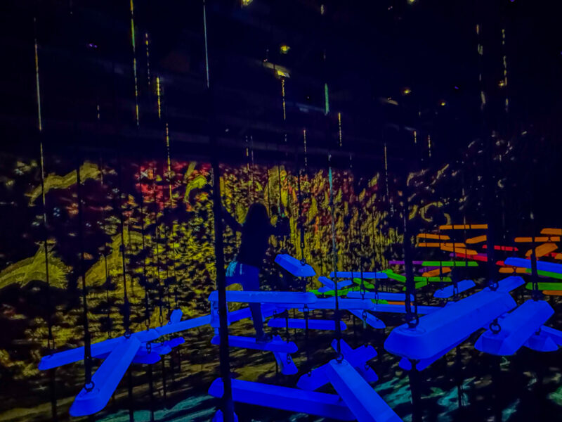 Aerial Climbing through a Flock of Colored Birds at teamLab Kyoto