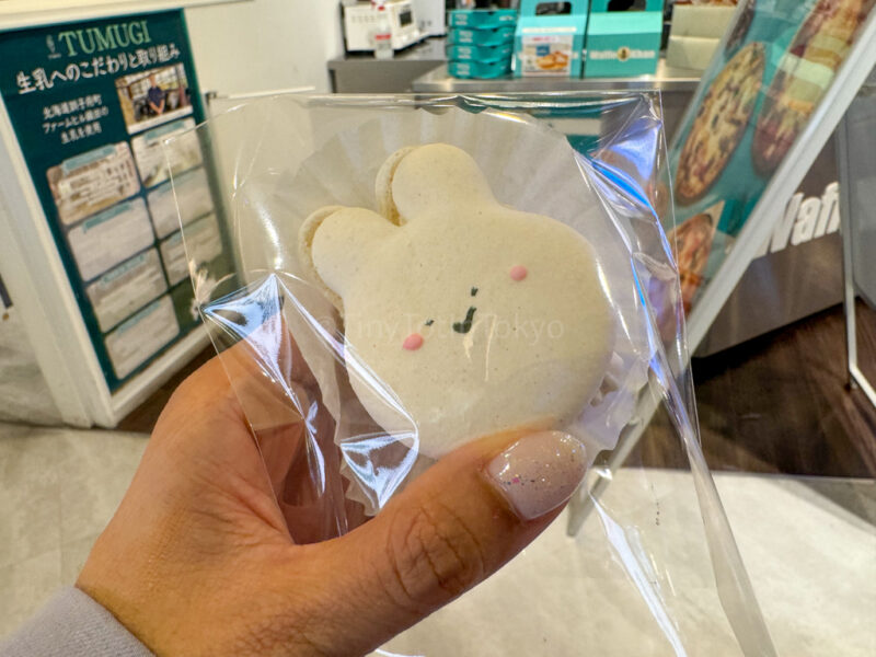 Macaroon from Shibuya 109