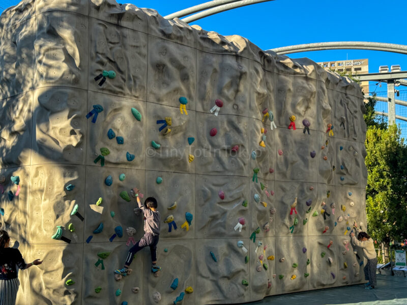 bouldering wall for kids in shibuya